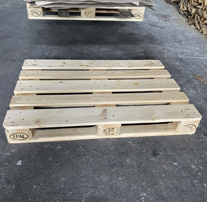 Palettes Euro en plastique industriel de haute qualité, écologiques, en vente, neuves, disponibles en gros - Product Image 1