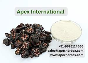 Extrait de Garcinia Cambogia 60% Haute Densité Fournisseur-Apex Fabricant International Durée de Conservation 24 Mois - Product Image 2