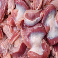 Gésiers de poulet congelés halal de qualité supérieure Pride |   Gésiers de poulet panés crus à vendre |   Fournisseur de volailles congelées en gros