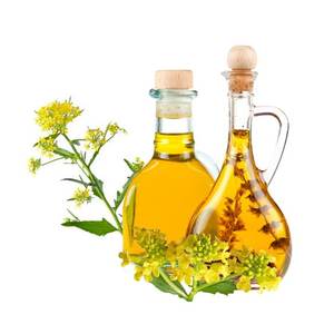 Aceite de canola refinado orgánico Premium (colza 100%) Grado AA para cocinar - Product Image 3