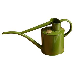 Bidons d'eau verts fabriqués à la main Anti rouille léger pichet d'arrosage en métal et cruche fournitures de ferme de jardin arrosoir Offre Spéciale - Product Image 5