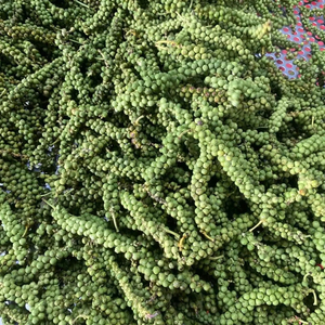 Solución de Pimiento Verde Liofilizado de Marca Privada para Minoristas y Distribuidores - Product Image 1