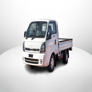 Capacité de charge élevée pour les applications commerciales légères - Camion - Product Image 1