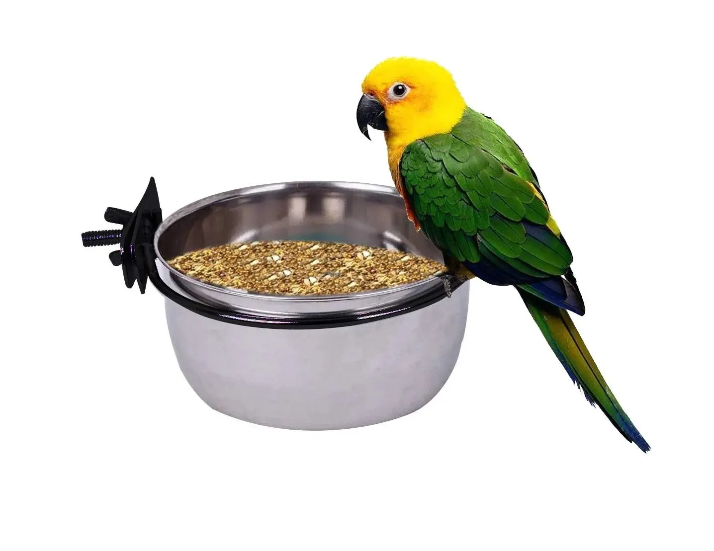 Hanging Stainless Steel Bird Feeding Coop Hook Cup Feeding Holder Bowl Parrot Food Dish Feeder durability longevity Secure Hook