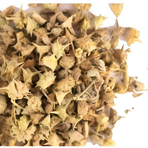100% saf terrestrilus Terrestris meyve tozu yüksek kaliteli gıda sınıfı bitkisel özü en çok satan toplu maddeler - Product Image 4