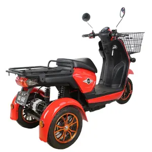 Direct Sale 60/72V 800W/1000W Double Seat Auto Charge Power Professional Food Deliver Box Electric Vehicle Tricycle