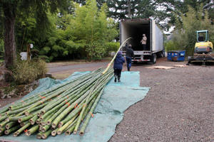 ไม้ไผ่อบแห้งทั้งหมดสำหรับใช้ในการก่อสร้างและตกแต่งบ้านไม้เท้าไม้ไผ่สีเขียวสดบรรจุภัณฑ์แบบกำหนดขนาดได้เอง - Product Image 6