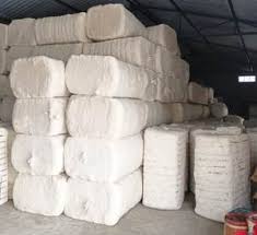 Raw Cotton Fiber for Medical Craft and Textile Use Soft White High Quality Bulk Industry Supply