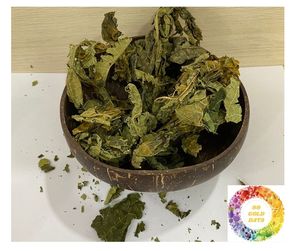 ใบมะละกอตากแห้งบริสุทธิ์ชาพรีเมี่ยมตัดจากฟาร์มเวียดนามใบมะละกอตากแห้งคุณภาพสูงเพื่อความสดชื่นชาสมุนไพร - Product Image 4