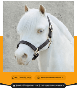 2022คล้องคอแบบสามส่วน - Product Image 3