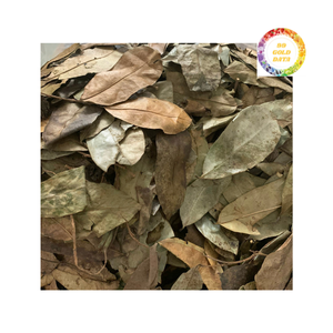 ใบเปรี้ยวจากเวียดนามมีคุณภาพสูง - Product Image 2