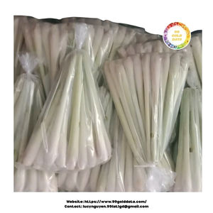 Hierba de limón congelada de origen vietnamita cuidadosamente seleccionada de fragancia natural y congelada por expertos para exportación en paquetes a granel - Product Image 2