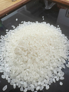 Arroz Japonica de Alta Calidad al por Mayor de Vietnam para Supermercados, Servicios de Alimentos y Compradores Internacionales - Product Image 6