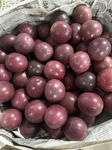 Vietnam Frais Passion Fruits Naturel Faveur Approvisionnement en Vrac Pas Cher Prix Bonne Qualité - Product Image 3