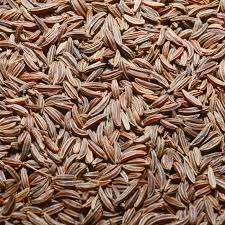 Aceite esencial puro para alimentos, Aceite Corporal de semilla de alcaravea prensado en frío, árbol de té, menta, lavanda, eucalipto, naranja para fines nutritivos - Product Image 2