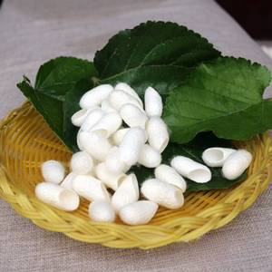 Cocons de soie PREMIUM pour l'exfoliation de la peau, les soins de beauté et le spa naturel - Product Image 6