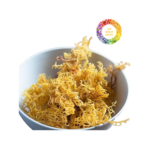 สาหร่ายทะเลสีทองแบบไอริชจากทะเลสาหร่ายทะเลเค็มและใยใหญ่ที่เก็บจาก100% ทะเลแห้งจากธรรมชาติ - Product Image 4