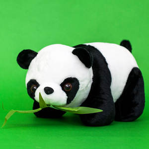 Peluche de Panda Súper Suave de 15/25/30 CM, Juguete de Peluche con Relleno de Algodón PP para Aliviar el Estrés, Disponible en Existencia - Product Image 3