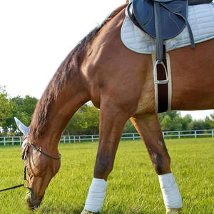 Sangle de selle pour cheval de qualité supérieure en gros, design exclusif, sangle en cuir pour le ventre, sangle équestre, bonne source d'alimentation manuelle en acier - Product Image 3