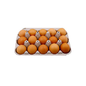 Huevos marrones disponibles a precio económico para compras al por mayor con stock confiable - Product Image 2