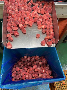 Fresas Enteras Congeladas de Vietnam Conservadas Directamente para Preparar Smoothies y Postres - Product Image 4