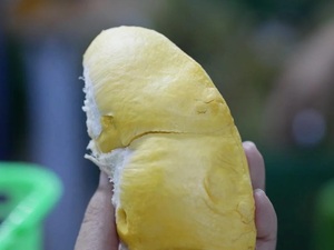 DurianSweet Fresh Durian Pack en boîte de Thaïlande/OEM mensuel de Durian biologique frais et congelé - Product Image 4