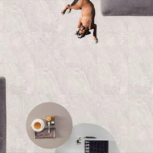 Azulejos de Porcelana Esmaltada Modernos de 600x600 mm para Uso en Centros Comerciales y Escuelas - WIN 36 - Product Image 1