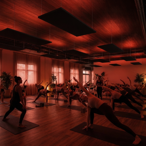 Panneau de yoga en aluminium sans cadre noir très demandé 50x200cm, chauffage électrique mural sans affichage 110/240V - Product Image 6