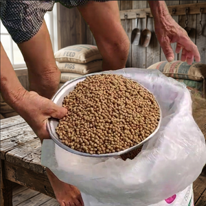 Farine de poisson naturelle en vrac pour l'alimentation animale – Fournisseur pour l'aquaculture (poissons, crevettes), la volaille, le bétail et la nutrition animale - Product Image 6