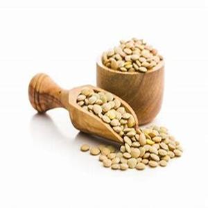 ขายร้อนของถั่วเขียวที่มีจำหน่ายในราคาที่เหมาะสม - Product Image 5