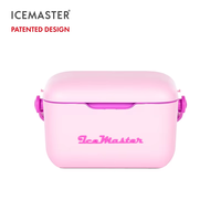 Hautement recommandé Logo personnalisé Portable Mini boîte isotherme isotherme moderne résistance à l'eau thermique réutilisable pour le camping en plein air