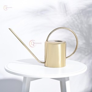 Arrosoir essentiel pour jardin en acier inoxydable couleur or arrosoir pour plantes avec poignée et bec modernes et brillants - Product Image 2