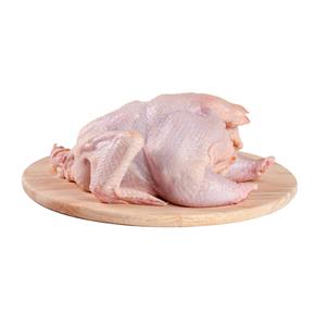 Proveedor Premium Halal congelado pollo entero Halal carne procesada de pollo Halal de Brasil - Product Image 6