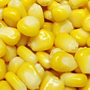 Maïs Sucré Doré Ultra-Doux en Grains, Congelé IQF Sous Vide, 1kg, Nouvelle Récolte, Légumes Surgelés - Product Image 6
