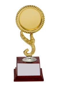 Coupe de trophée en métal pour le championnat de cricket, objet de collection pour la présentation du gagnant du tournoi sportif, cadeau commémoratif - Product Image 2