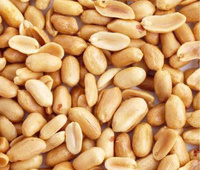 Meilleure vente directement d'arachides salées pelées grillées biologiques de haute qualité collations d'emballage personnalisées du fournisseur vietnamien
