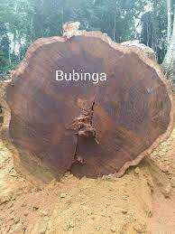 Bubinga Grumes Bubinga Bois Bubinga Grumes à vendre - Product Image 5