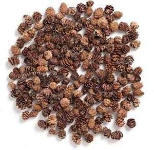 Pinecone Natural en precio al por mayor Pinecone Decoración navideña para decoración de habitaciones y fiestas - Product Image 5