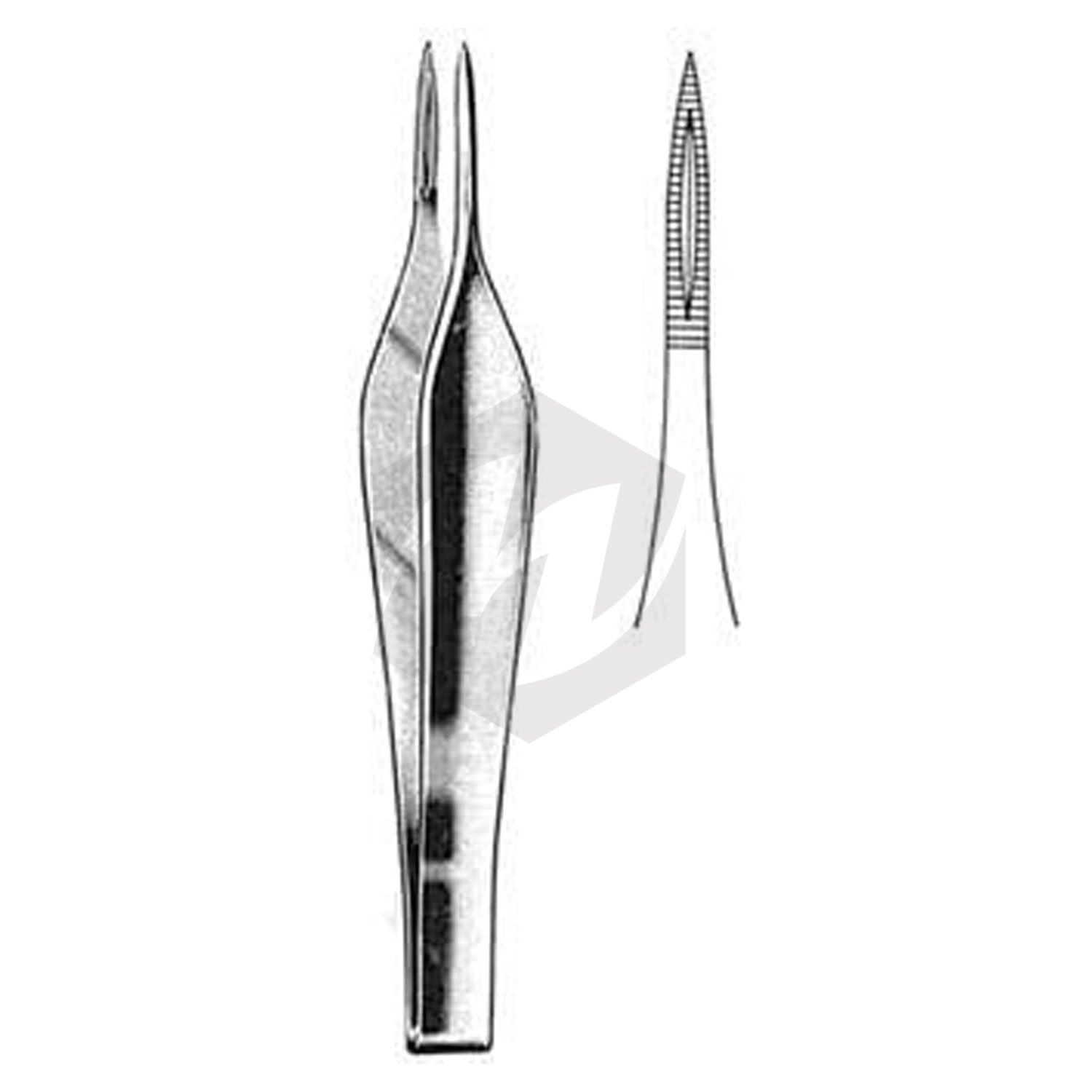 Splinter Forceps