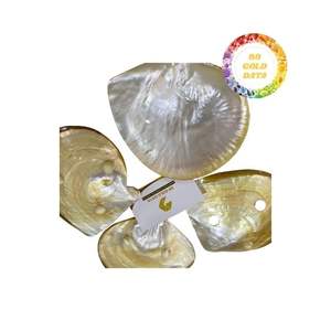Coquillages en nacre blanche naturelle provenant du Vietnam Idéal pour les boutons d'incrustation de meubles et la production artisanale de bijoux - Product Image 5