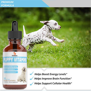 Oem multivitaminico liquido per cani tutti i giorni glucosamina vitamina B C d 3 supporto per gatti gatti al coperto cura le articolazioni fianchi - Product Image 4