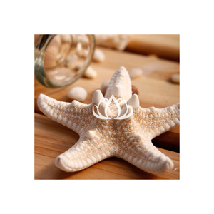 100% haute qualité mer animal sculpture corail conque étoile de mer statue corail artisanat pour décor d'aquarium - Product Image 6