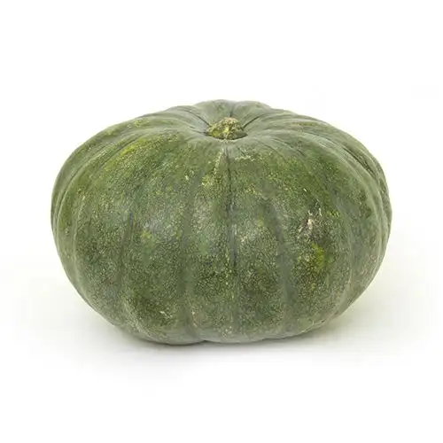 Натуральные свежие тыквы по прочной цене, питательные тыквы, лучшее качество, специальная оптовая цена