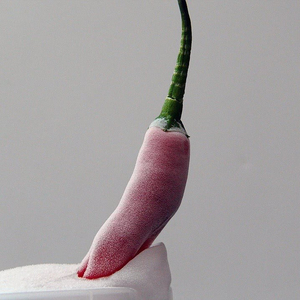 การส่งออกเวียดนามของผลไม้แช่แข็งพริกแดงร้อน100% ในราคาที่ดีที่สุด - Product Image 1