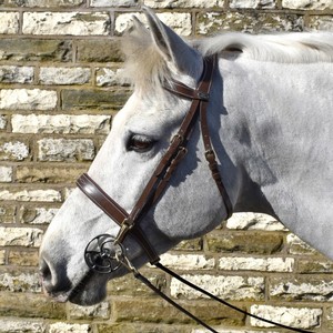 Brida de caballo de doma anatómica fabricada con características de cuero de alta calidad Diseño anatómico y filete - Product Image 4