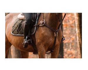 Pechera Ajustable de Cuero Duradero para Caballos y Equitación, Corona Rub International - Product Image 1