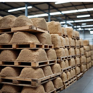 Haricots blancs de qualité supérieure, idéaux pour la mise en conserve et la cuisine - Product Image 5