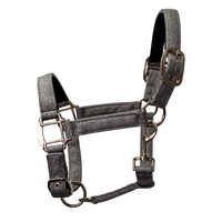 Licol de cheval à paillettes en nylon personnalisé avec selle anglaise Accessoires de participation de style équipement de cheval y compris la bride pour EquineCare