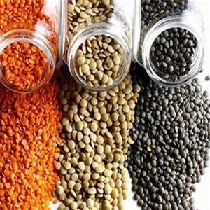 Lentilles rouges entières biologiques saines et pures disponibles à la vente au prix d'usine - Product Image 6