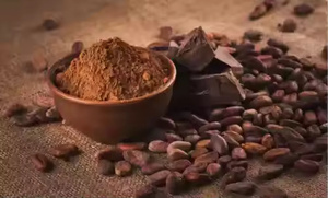 Granos de Cacao 100% Orgánicos de Primera Calidad, Color Marrón Oscuro, Masa de Cacao para la Elaboración de Chocolate, Marca Glo, 24 Meses de Duración - Product Image 6